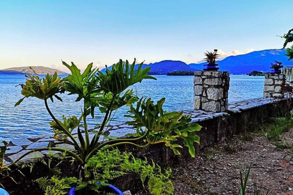 Villa Violeta Lefkada Nydri المظهر الخارجي الصورة