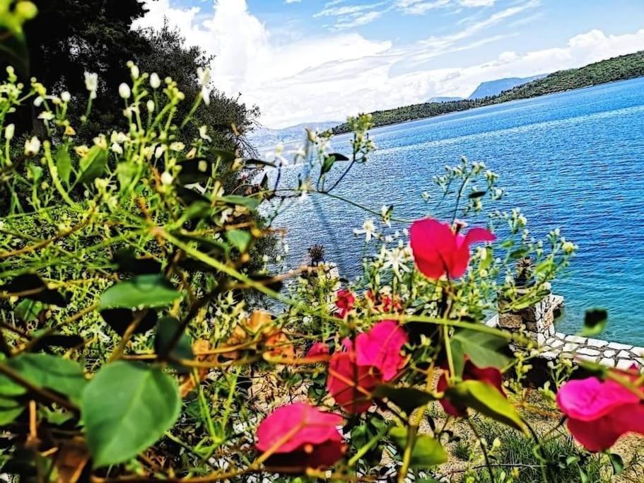 Villa Violeta Lefkada Nydri المظهر الخارجي الصورة